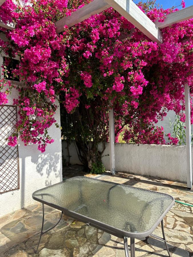 Villa Pinelopi Καλαμάτα Εξωτερικό φωτογραφία