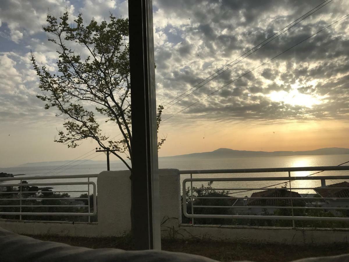Villa Pinelopi Καλαμάτα Εξωτερικό φωτογραφία